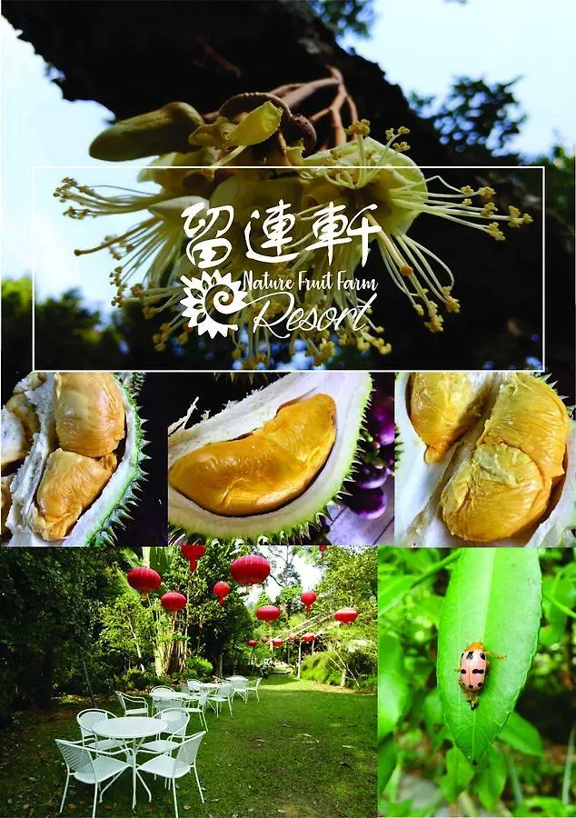Nature Fruit Farm - Private Estate Balik Pulau Guest house