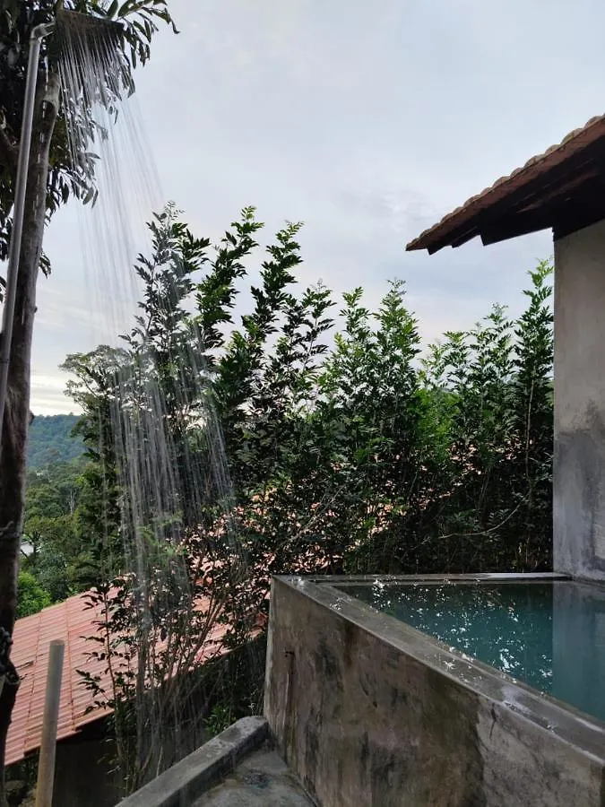 Nature Fruit Farm - Private Estate Balik Pulau